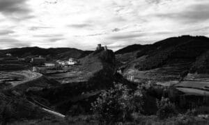 Rioja vineyards